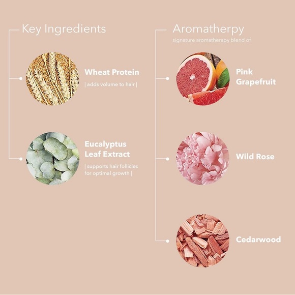 ❌❌SOLD❌❌Pureology - Pure Volume Shampoo & Conditioner - Picture 4 of 7